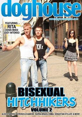 Bisexual Hitchhikers 2 film afişi