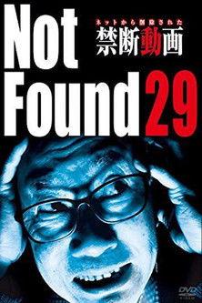 Not Found 29 film afişi