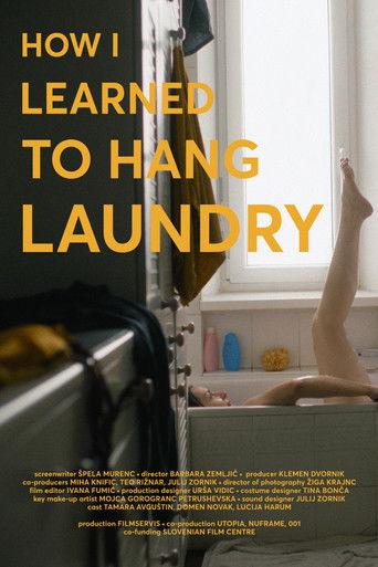 How I Learned to Hang Laundry film afişi