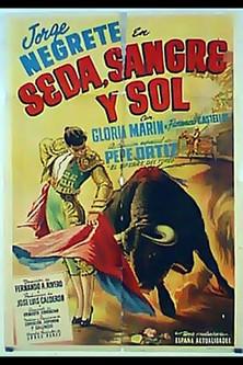 Seda Sangre Y Sol film afişi