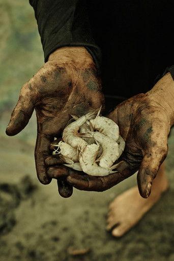 Petroleo film afişi