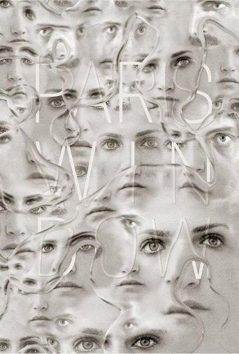 Paris Window film afişi