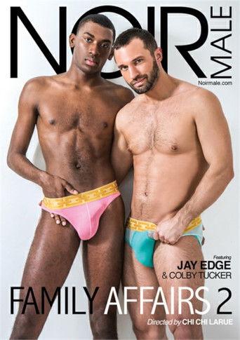 Family Affairs 2 film afişi