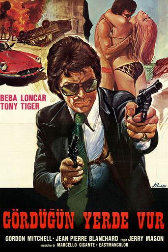 Special Squad Shoots on Sight film afişi