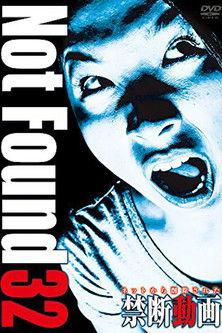 Not Found 32 film afişi