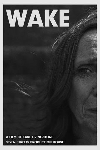 Wake film afişi