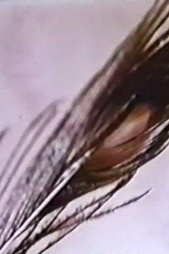 Sexual Meditation: Faun's Room, Yale film afişi