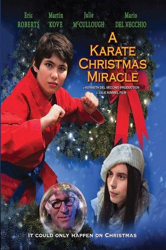 A Karate Christmas Miracle film afişi