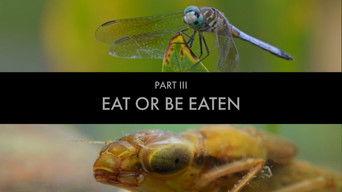 Eat or be Eaten