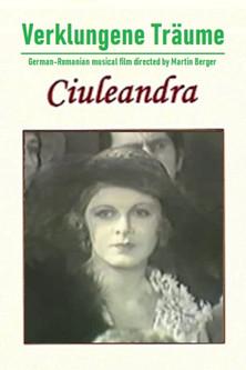 Faded Dreams film afişi