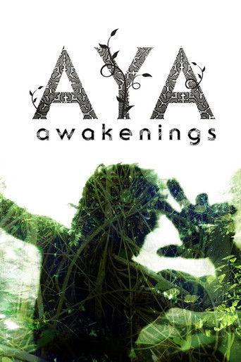 Aya: Awakenings film afişi
