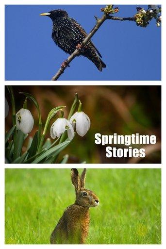 Springtime Stories film afişi