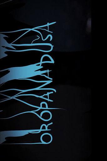 Robbed Soul film afişi