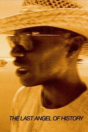 The Last Angel of History film afişi