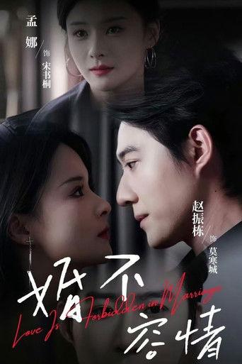 婚不容情 dizi afişi