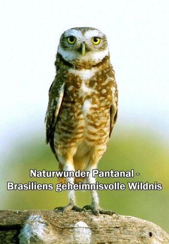 Naturwunder Pantanal - Brasiliens geheimnisvolle Wildnis film afişi