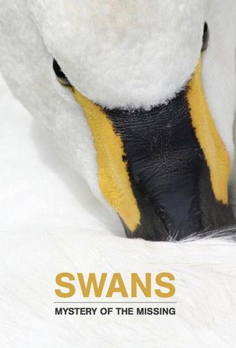 Swans: Mystery of the Missing film afişi