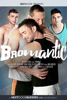 Bromantic film afişi