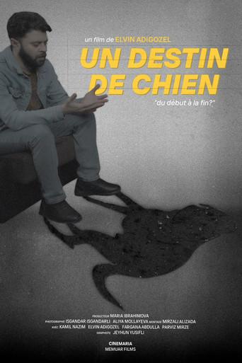 Bir İtin Taleyi film afişi