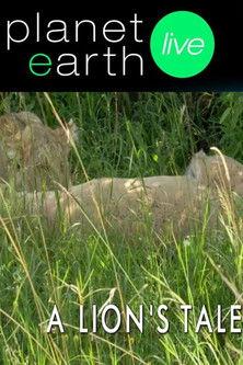 A Lion's Tale film afişi