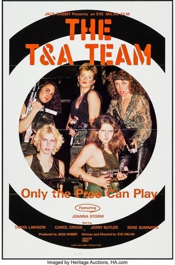 The T & A Team film afişi