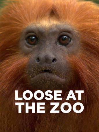 Loose at the Zoo film afişi