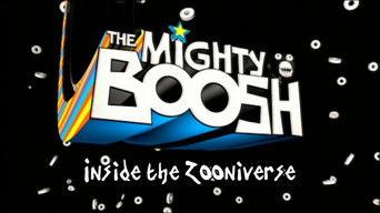 Inside the Zooniverse