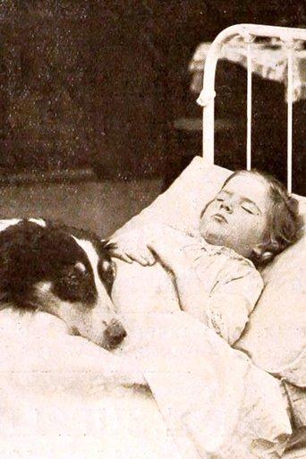 Playmates film afişi