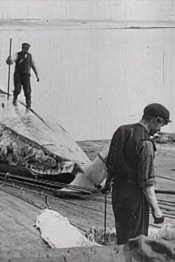 Whaling Afloat and Ashore film afişi