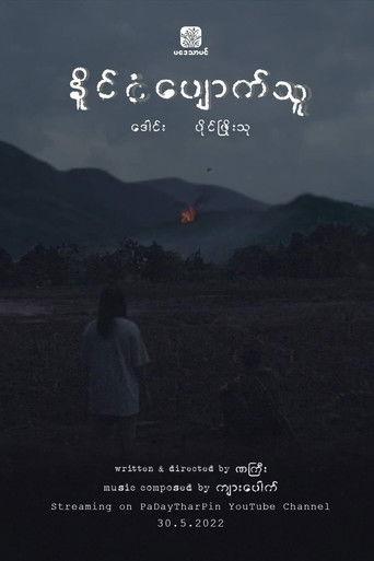 My Lost Nation film afişi