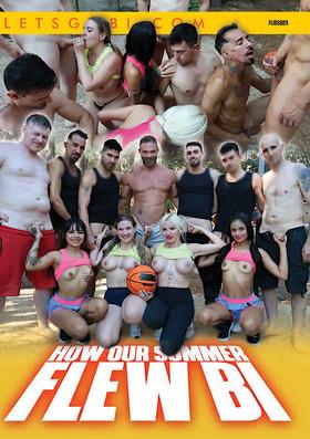 How Our Summer Flew Bi film afişi