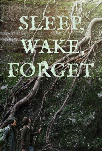 Sleep, Wake, Forget film afişi