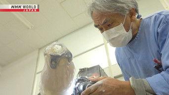 Prosthetics Pioneer - Usui Fumio