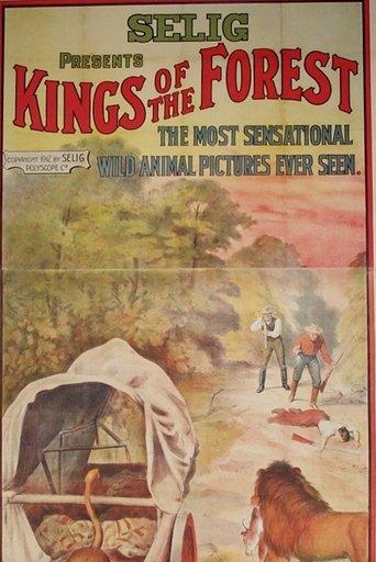 Kings of the Forest film afişi