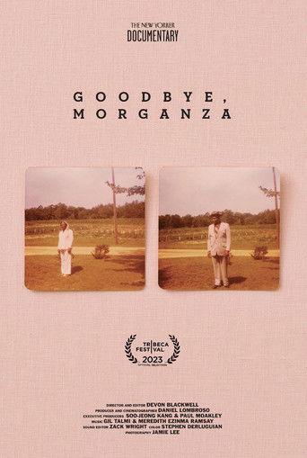Goodbye, Morganza film afişi