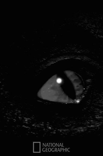 Prehistoric Monsters Revealed film afişi