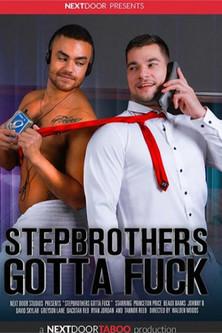 Stepbrothers Gotta Fuck film afişi