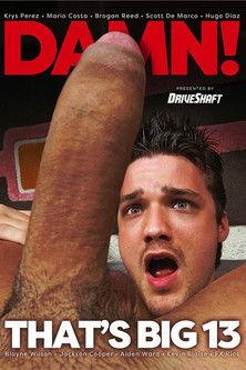 Damn That's Big 13 film afişi