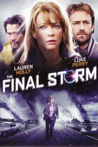 The Final Storm film afişi