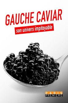 Gauche caviar, son univers impitoyable film afişi