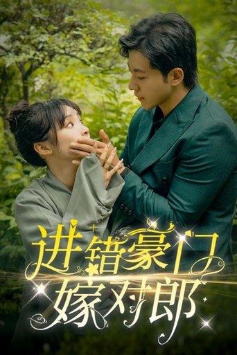进错豪门嫁对郎 dizi afişi