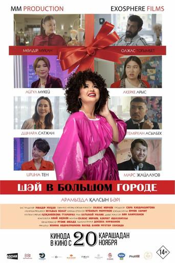 Shay in the Big City film afişi