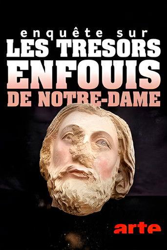 Enquête sur les trésors enfouis de Notre-Dame de Paris film afişi