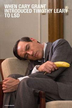 When Cary Grant Introduced Timothy Leary to LSD film afişi