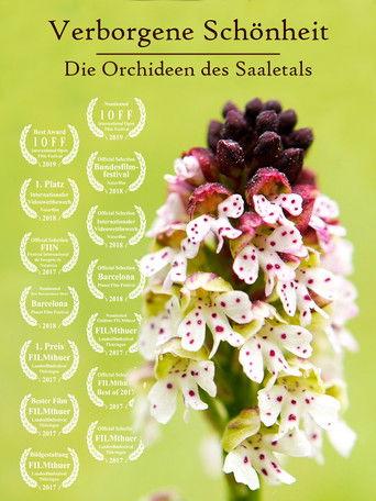 Hidden Beauty - The Orchids of the Saale Valley film afişi