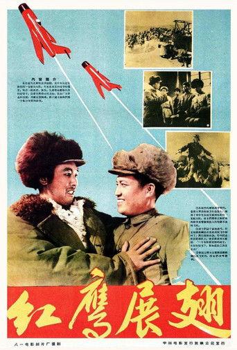 红鹰展翅 film afişi