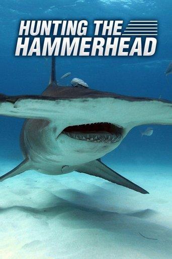 Hunting the Hammerhead film afişi