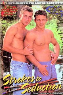 Strokes to Seduction film afişi