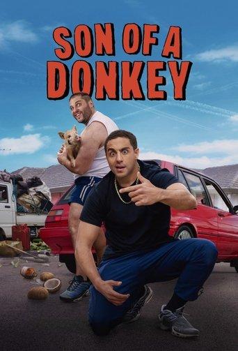 Son of a Donkey dizi afişi