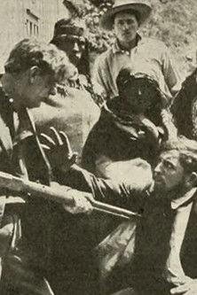 Broncho Billy Gets Square film afişi